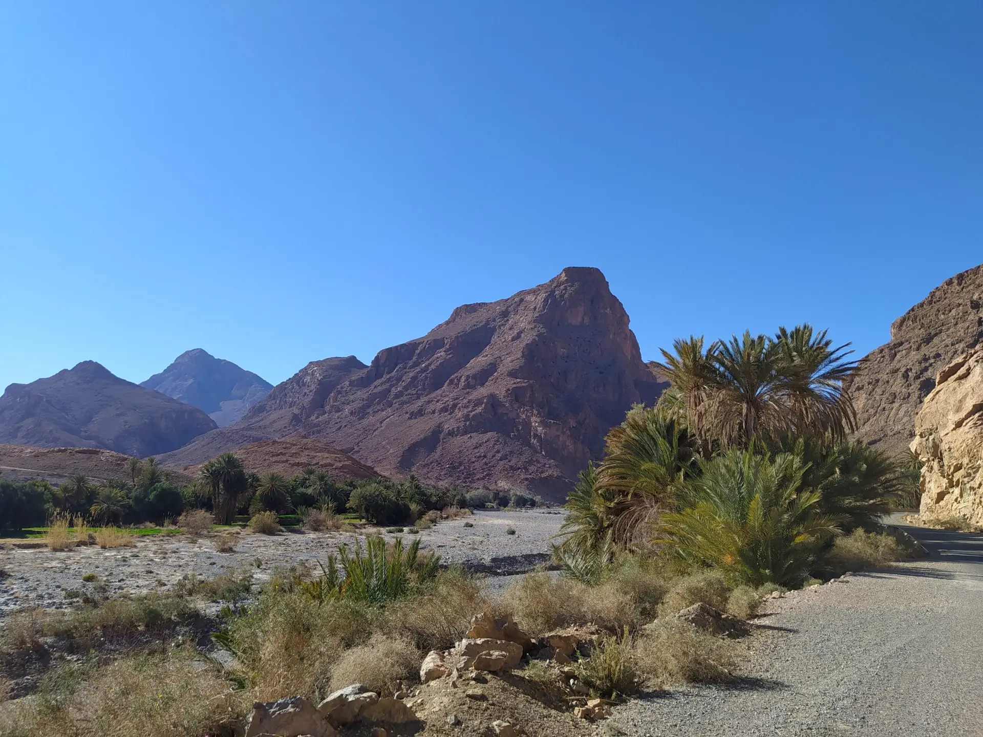Paysage du Maroc avec des falaises et des palmiers.