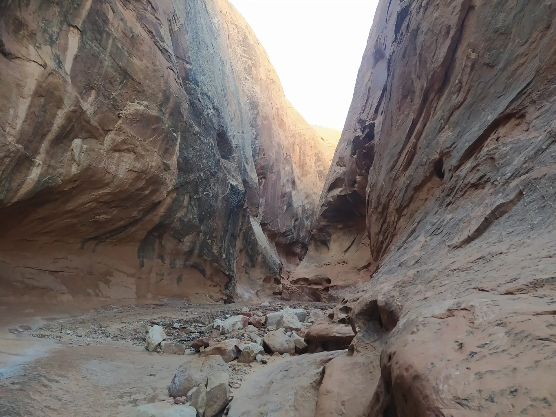 Vue au fond d'un étroit canyon à sec dans la région de Hanksville en Utah.