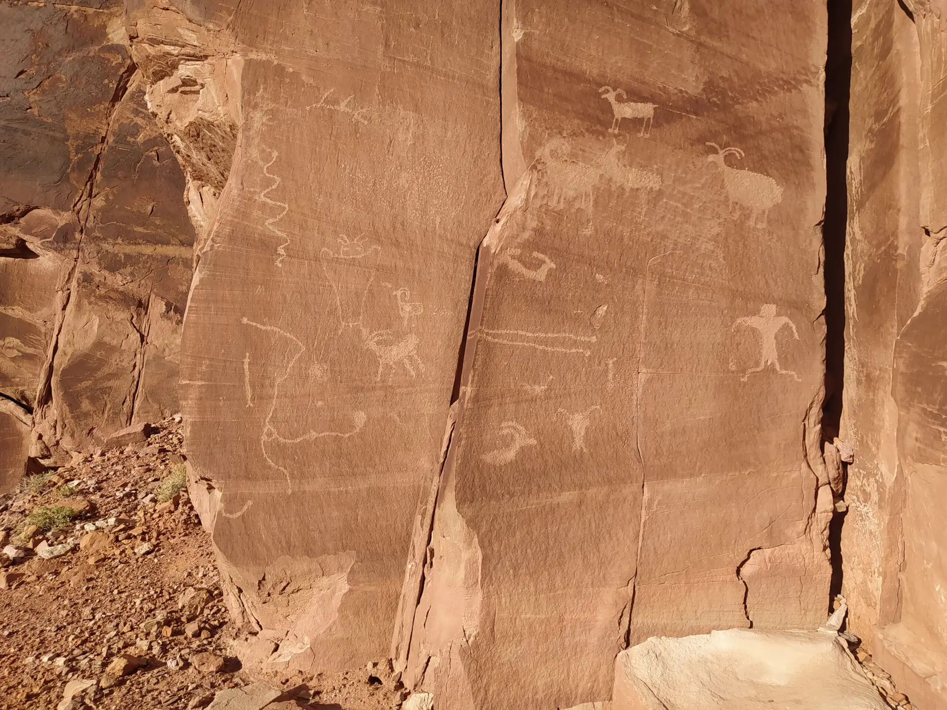 Pétroglyphes de plusieurs centaines d'années gravés par des amérindiens de l'Utah et représentant des animaux.