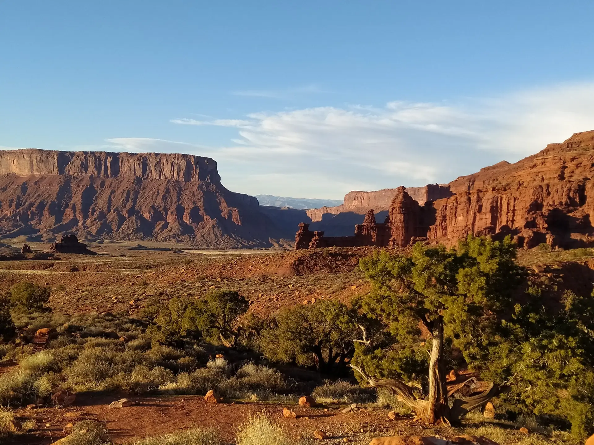 Cliffs in the Utah desert suitable for base jumping, in the foreground there are juniper trees.